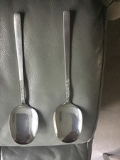 Viners Love Story Serving Spoons x 2