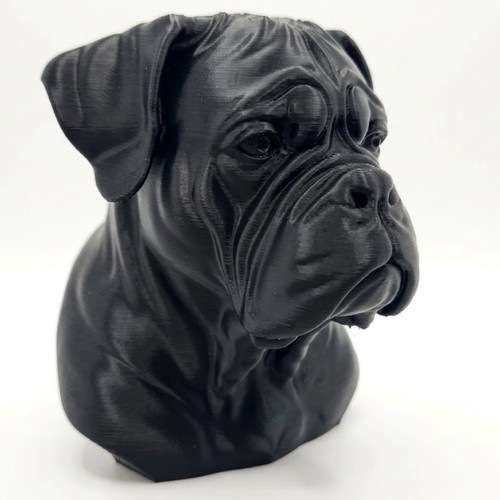 Dogue bordeaux dog bust - bordeaux,