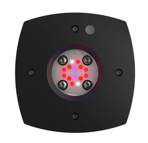 New prime 16hd reef - new, ai