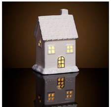 X2 Light Up LED  Christmas