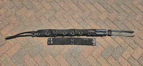 Black horse size kieffer - ,