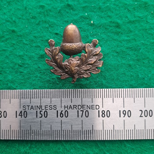 Ww1 the cheshire - ww1, regiment