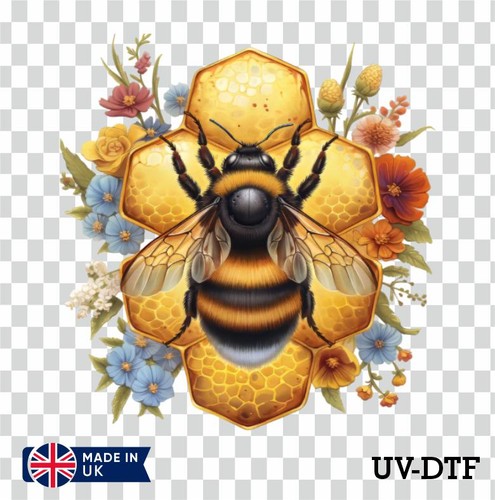 Floral bee honey - on, comb