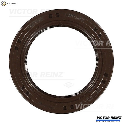 Shaft seal camshaft - shaft,