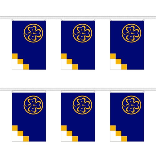 Flagtex girl guides rectangle - flagtex,