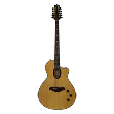 Aslin Dane Icosa 12 String