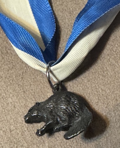 Boy scouts silver beaver - silver, award