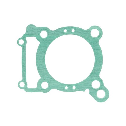 Cylinder base gasket - cylinder,