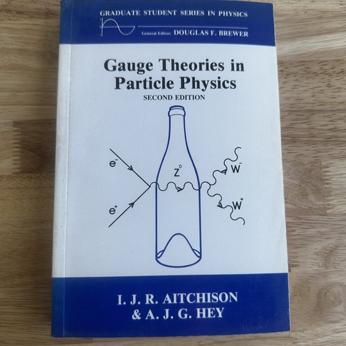 Gauge theories particle - in,