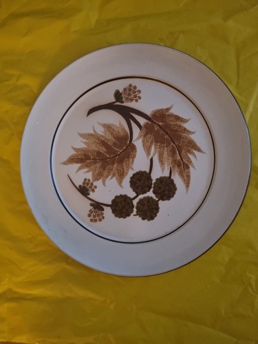 Denby cotswold dinner - cotswold,