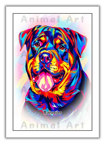Rottweiler dog portrait - a4,