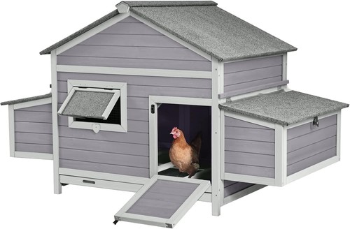 Chicken coop outdoor hen - hen, house
