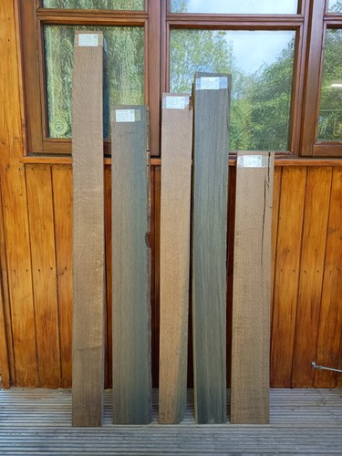 Bog oak morta wood - /, rare