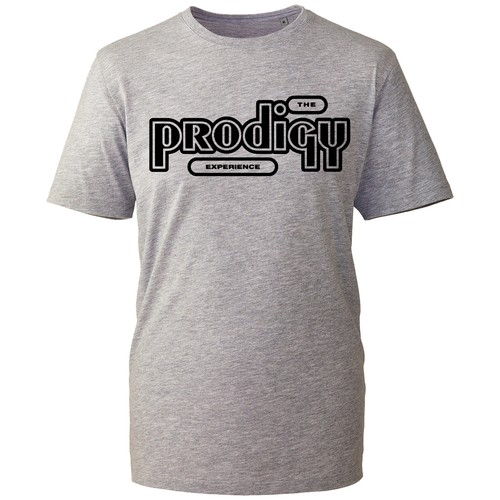 The prodigy experience - prodigy,
