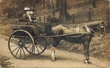 LADIES IN  HORSE DRAWN CART -