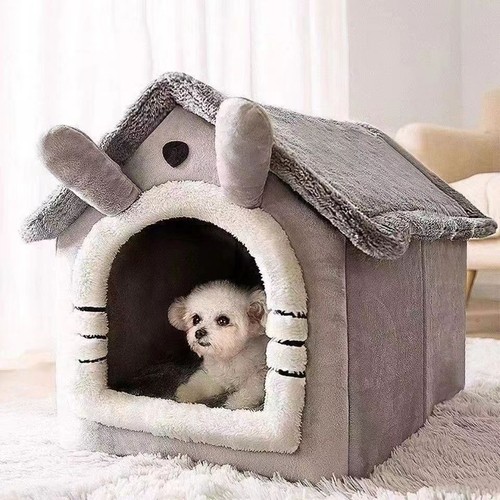 Pet cat kitten - dog, igloo