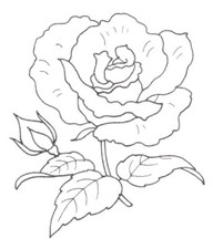 Embroidery Transfer Iron On