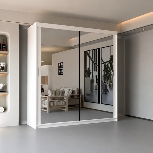 Chicago sliding door - chicago,