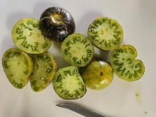 Xanudu Green Goddess Tomato
