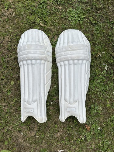 Raw cricket batting - cricket,