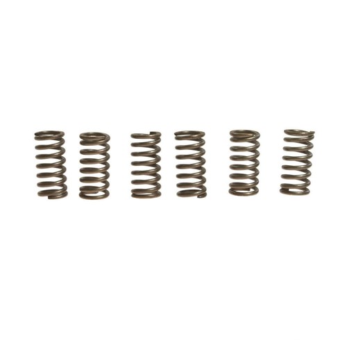 Clutch springs ebc rinf - 6, +10