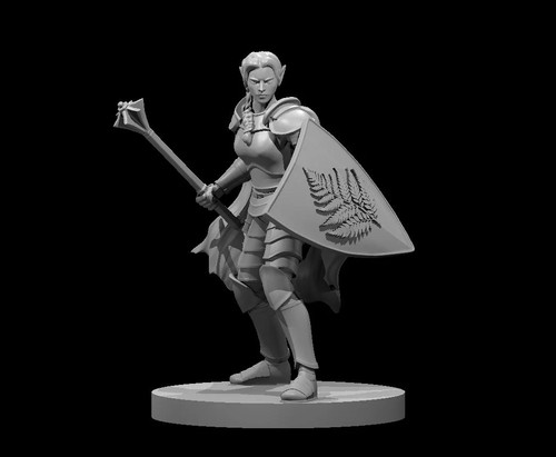 Dungeons dragons elven - dungeons, &