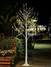 6ft Birch Twig Tree 96 Warm