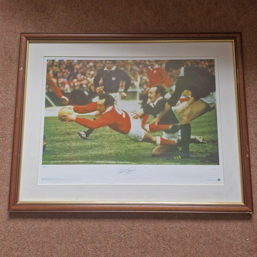 Gareth edwards wales - gareth,