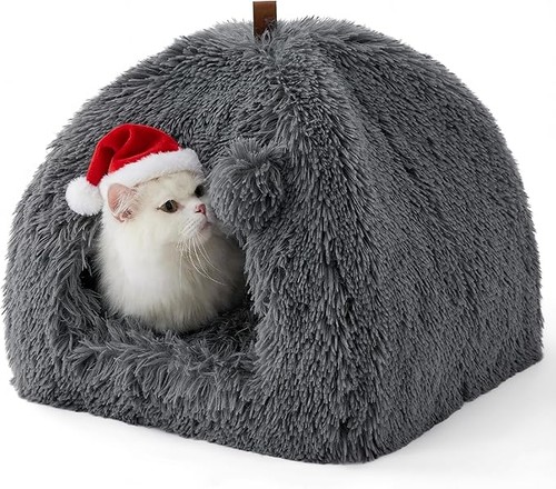 Cat winter cave - cat,