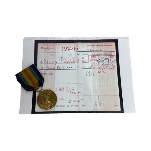 Ww1 victory medal - medal, pte