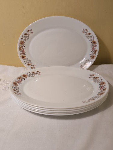 Set pyrex jaj woodland - ,