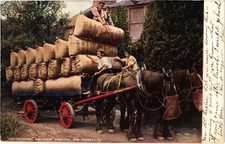 PC HOP-PICKING LOADING POCKETS FOR MARKET KENT ENGLAND VINTAGE POSTCARD (u12579)