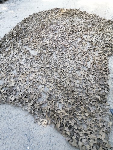 British army desert camo - desert,