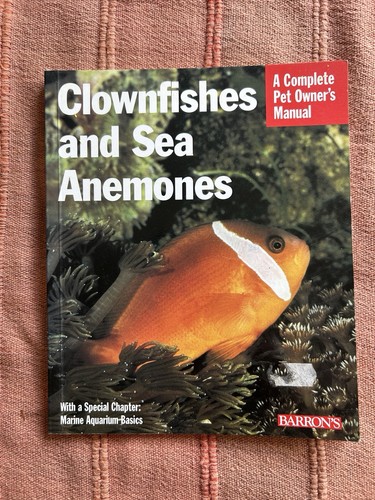 Clownfish and sea - clownfish,