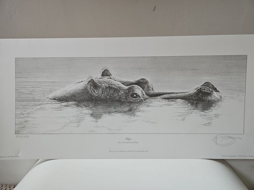 Gary hodges hippo - hodges, 590/950