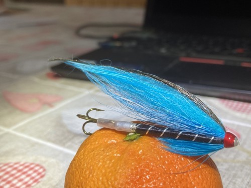 Fly fishing sea trout sewin - trout,