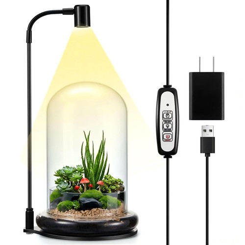 Plant terrarium kit with grow - terrarium,