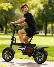 RA B20mini 14'' 36V 7.8Ah 250W Electric Bike For Adult Folding E-Bike