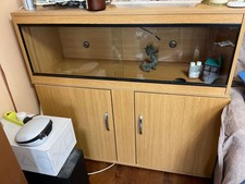bearded dragon vivarium setup