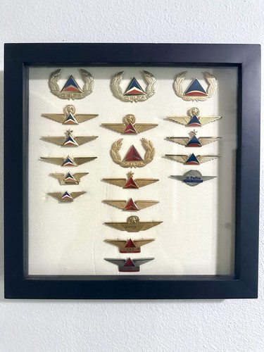 Delta airlines crew wings - crew,