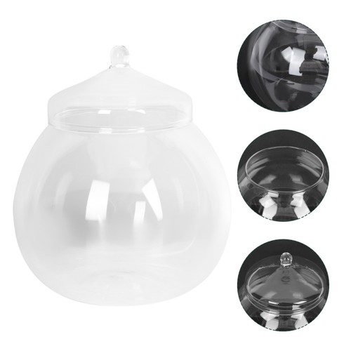 Moss terrarium jar glass - jar,