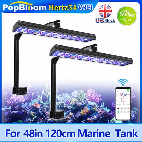 Popblooom marine aquarium - marine,