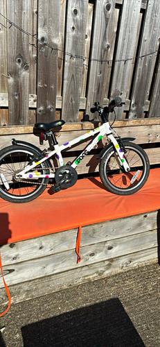Frog kids bike 20in wheels - kids,