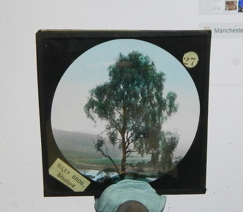 Glass magic lantern - glass, slide