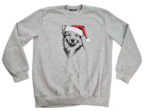 Border collie australian - collie,