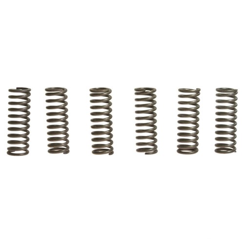 Clutch springs ebc - springs, rinf.