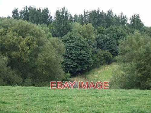 Photo grazing land and - ,