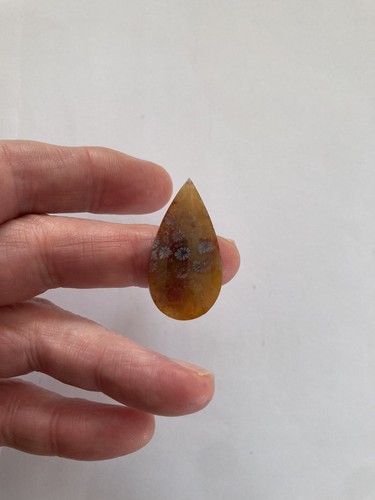 Fossil coral cabachon - fossil,