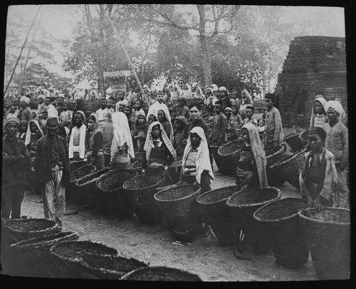 Darjeeling tea pickers indian - darjeeling,