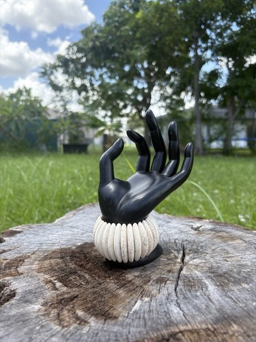 Vintage natural shell slice - shell,
